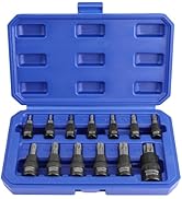 WORKPRO Torx Bit Socket Set, 1/4", 3/8" and 1/2" Drive Torx Bits 13-Piece Socket Set T8-T60, Prem...