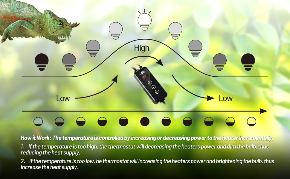 temperature controller