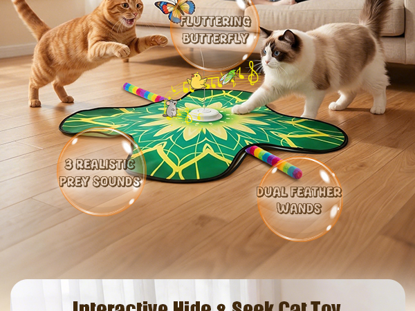 interactive cat toy