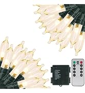 Green Convenience Christmas Lights 105ft 300 LED Battery String Lights with Timer Memory Function...