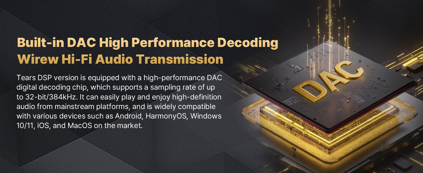 Built-in DAC High Performance DecodingWirew Hi-Fi Audio Transmission