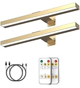 MIOBLUE Rechargeable Picture Lights with Remote, 16" Battery Operated Painting Light Display Lamp...