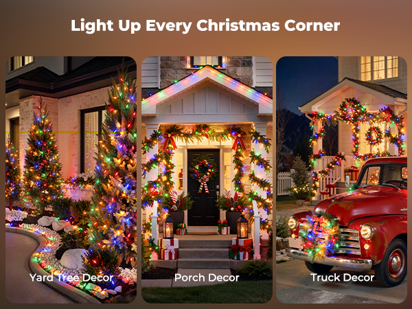 multicolor christmas lights