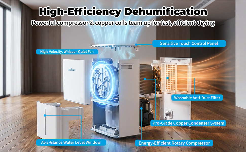 dehumidifiers for home