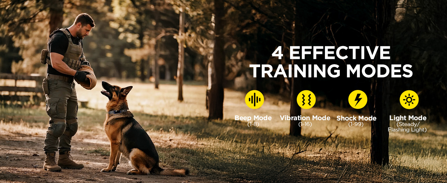 dog shock collar with remote