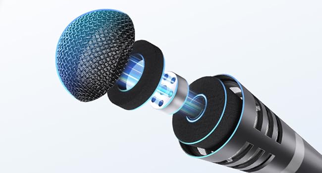 Microphone Pickup Capsule