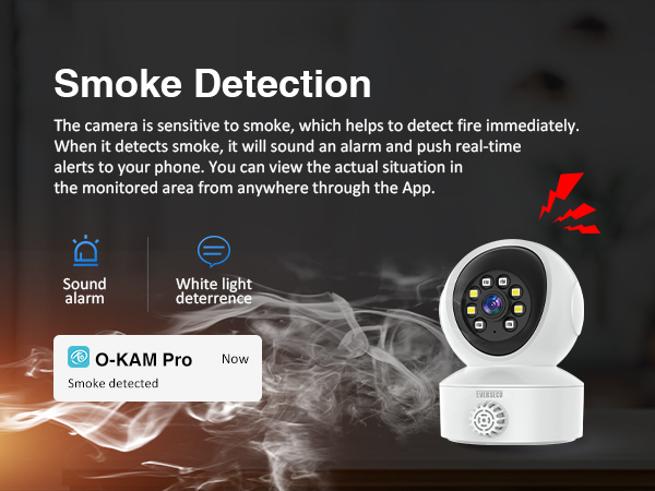 EVERSECU Smoke &amp; Gas Detection Home Security Camera with Sound Alarm 
