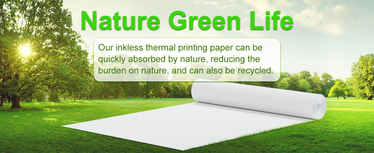 Thermal Receipt Paper