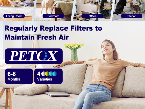 core mini replacement filter