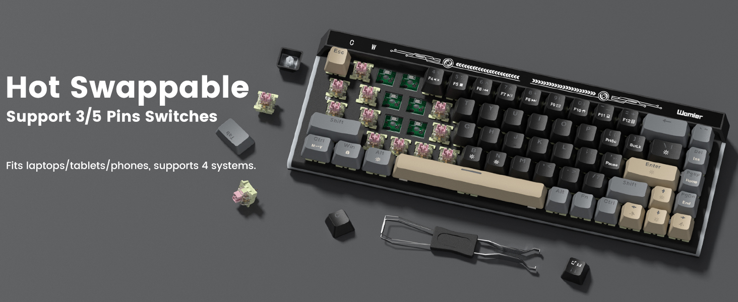 Hot-Swappable Switches