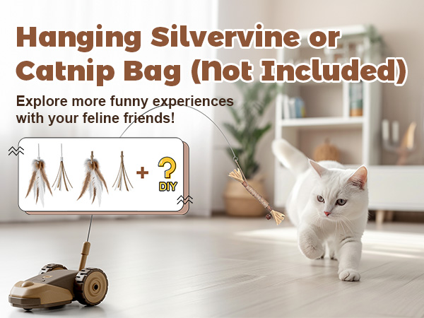 Interactive Cat Toy