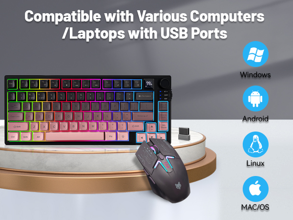 Compatible with Various Computers /Laptops with USB Ports