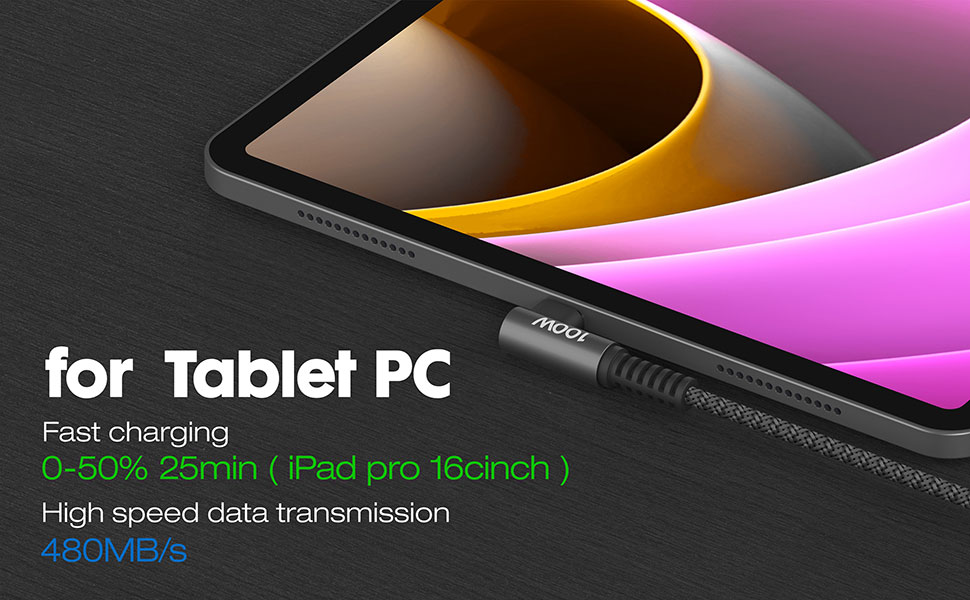 100W 2-Pack 4ft USBC to USBC Cable usbc charger cable