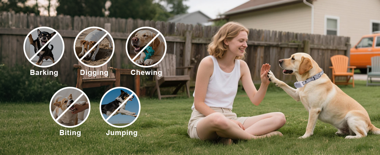 dog training collar with remote