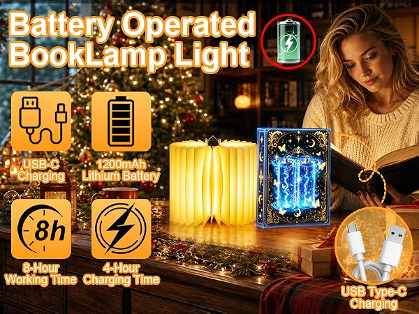 book lovers gifts
