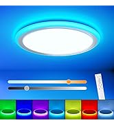 BLNAN RGB Led Flush Mount Ceiling Light with Remote Control, 13Inch 24W 2400LM 3000-6500K Dimmabl...