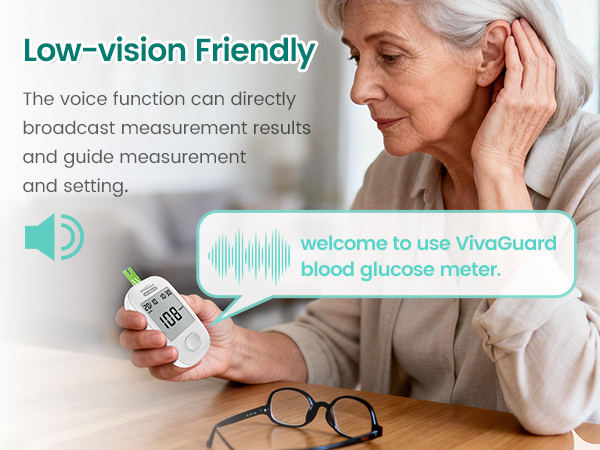 voice function