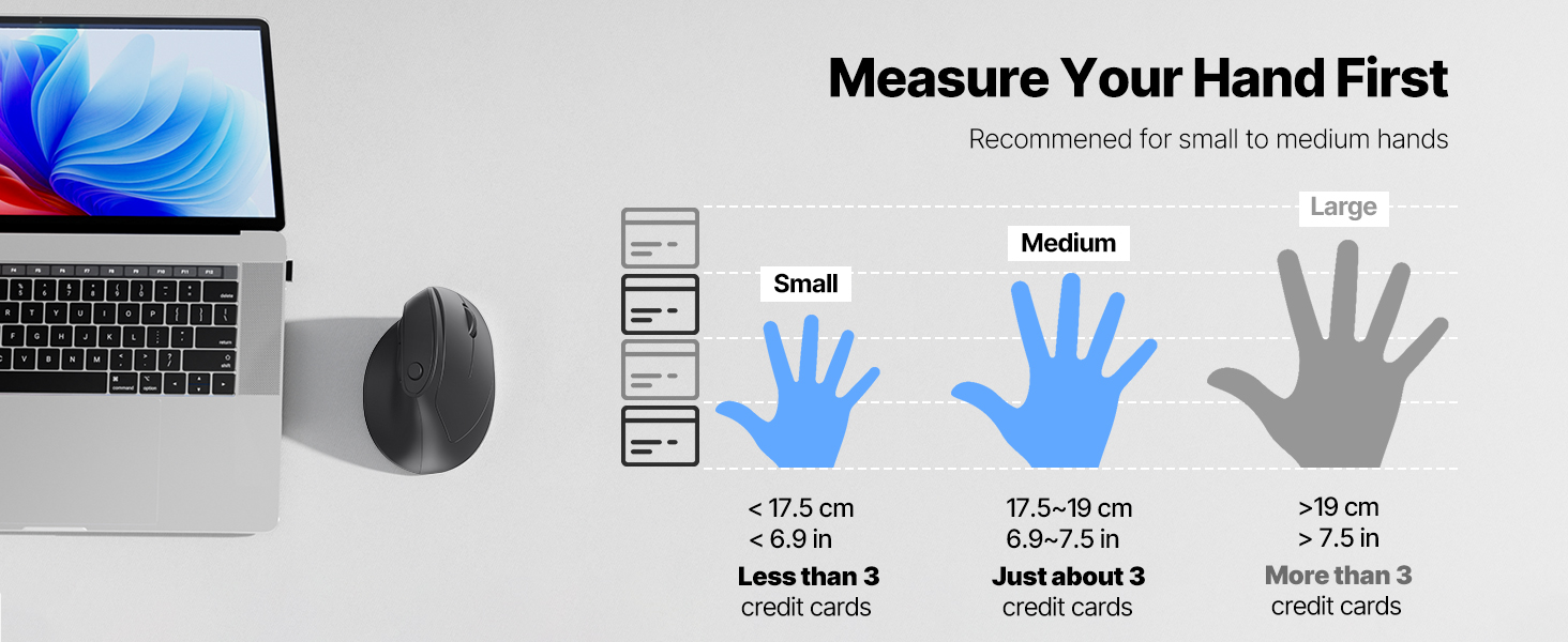 Black ergonomic mouse