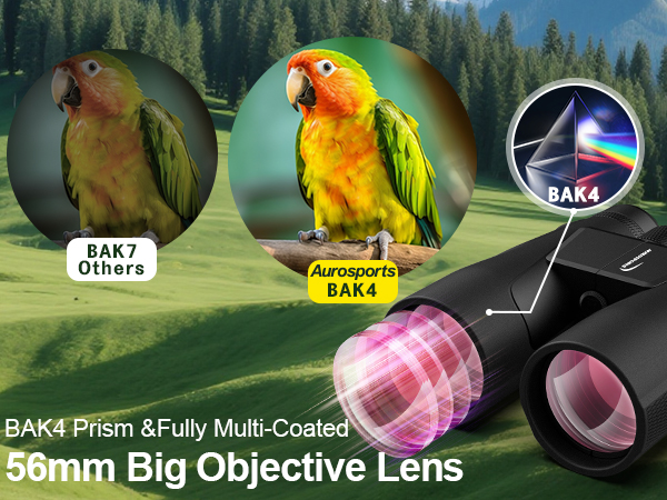 binoculars