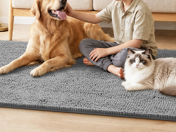 100pointONE Dog Door Mat for Muddy Paws