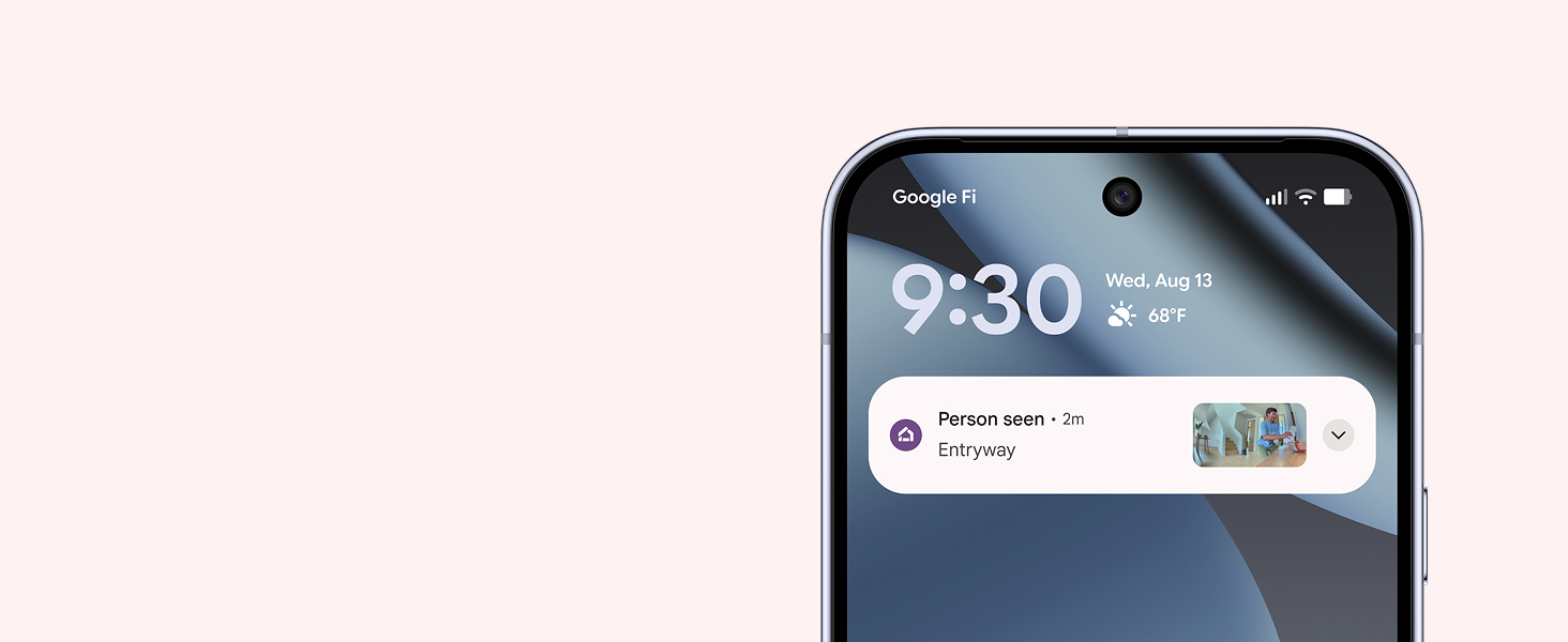 Nest Cam Outdoor sends alerts when it spots a person, vehicle, or animal.[5]