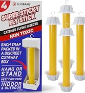 4 sticky fly sticks. Fly trap indoor or outdoor fly trap. House fly trap indoor fly traps outdoor.