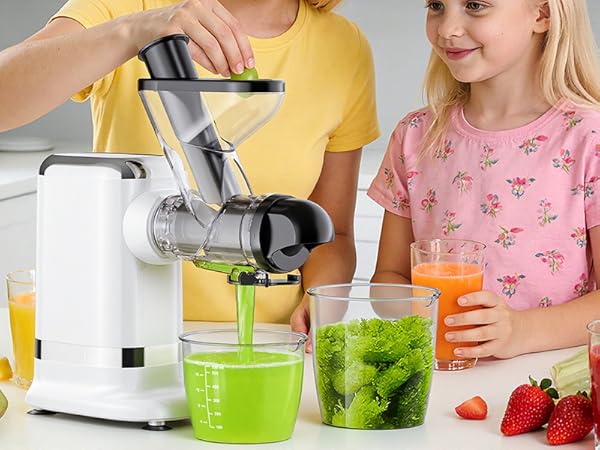 Cold Press Juicer