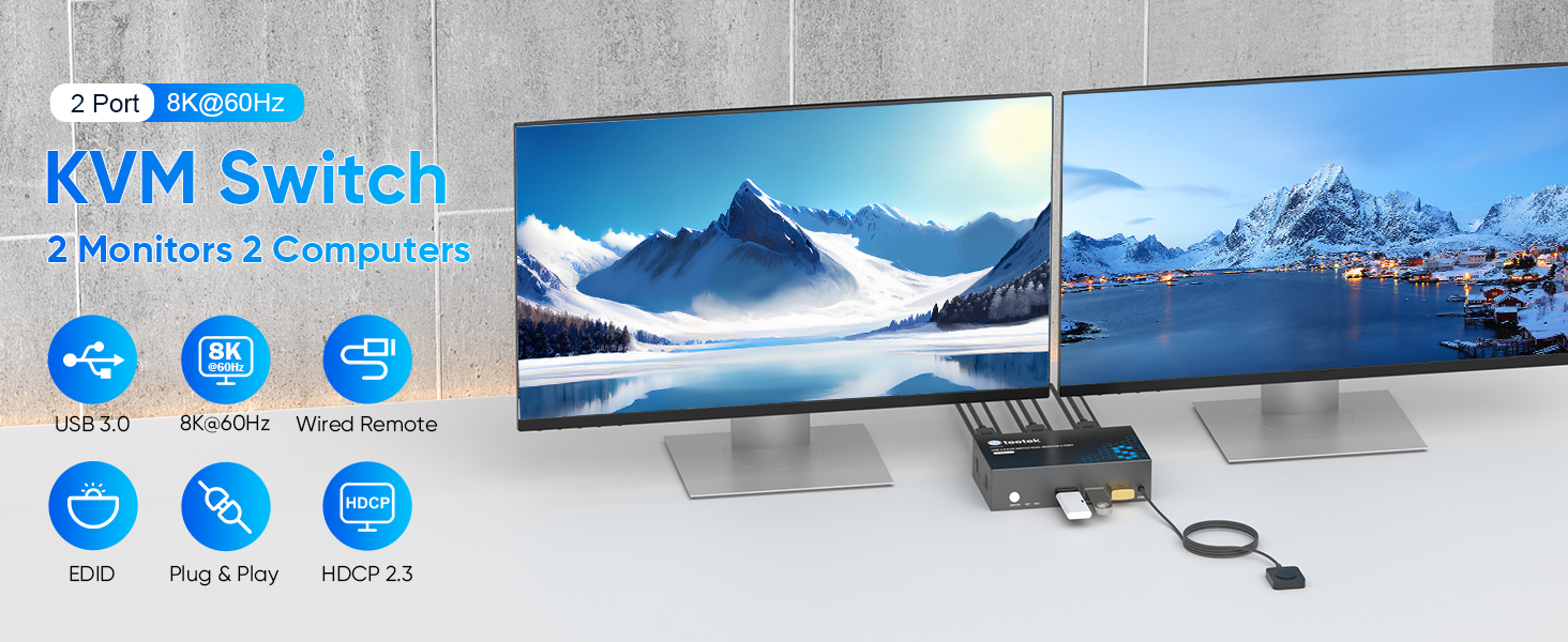 kvm switch 2 monitors 2 computers