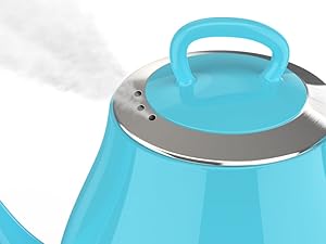 safe steam outlet