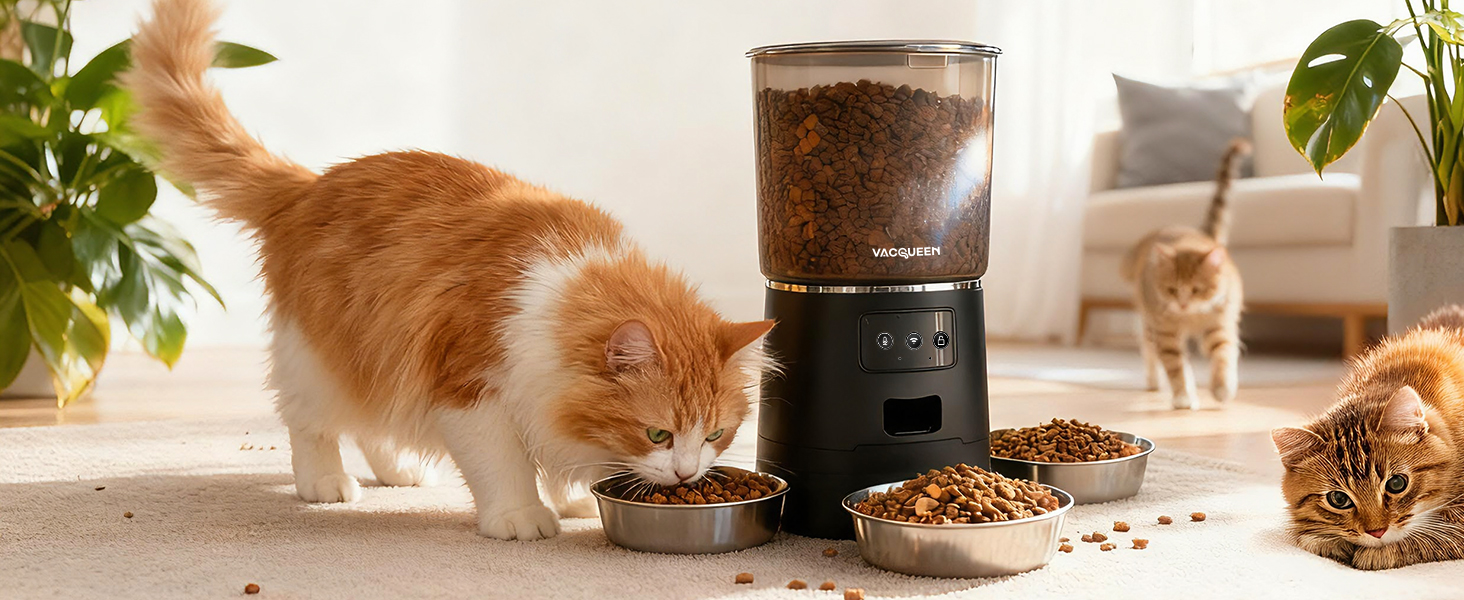 cat food dispenser automatic