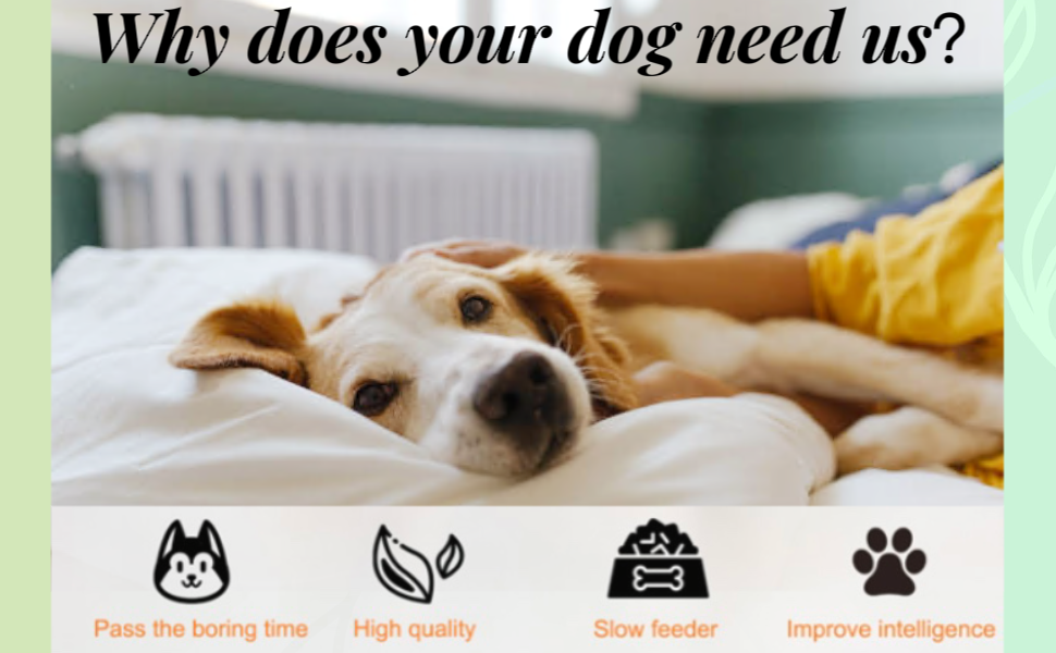 interactive dog toys