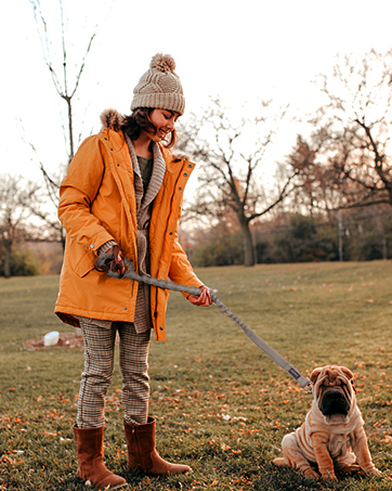 Dog Leash