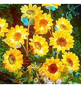 Brightown Outdoor Solar Garden Lights - 4 Pack LED Flower Lights with Larger Sunflowers, Bigger S...