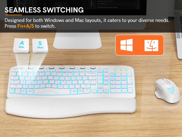plug and play 2 in 1 Win&Mac system layout 