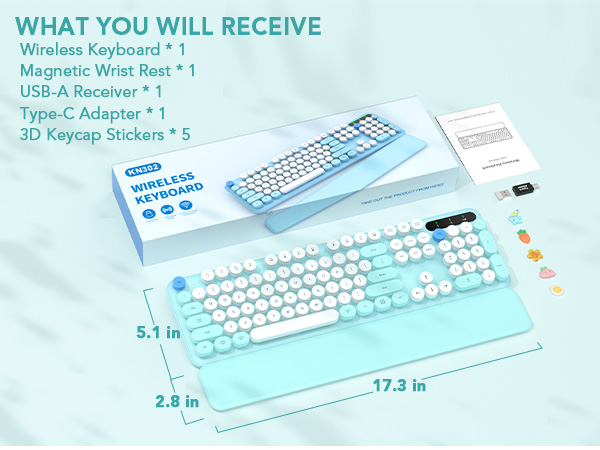 WHAT YOU WILL RECEIVE