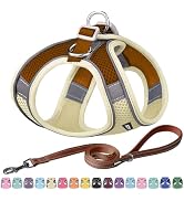 AIITLE Dog Harness Small Sized Dog - No Pull Dog Harness for XS and Small Size Dogs &amp; Puppies - S...