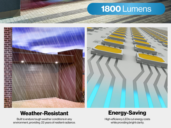 EBC 2 - PAR38 Plus Bright Mobile.jpg