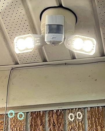 outdoor motion sensor light