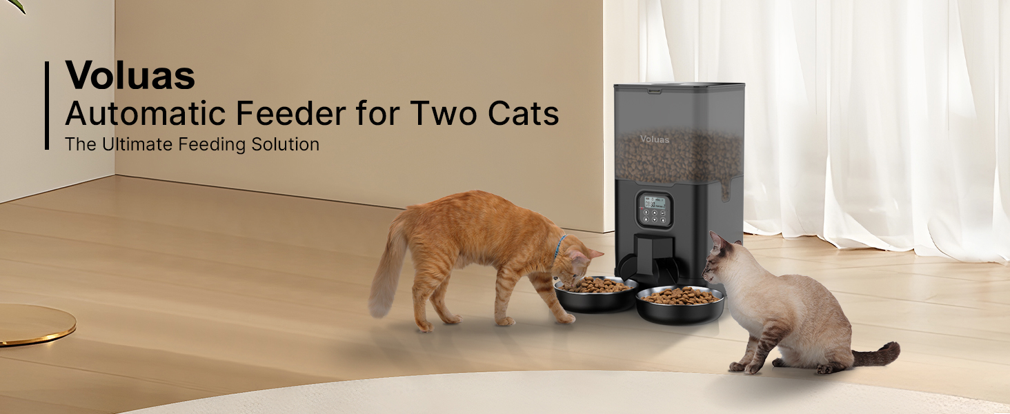 automatic cat feeders