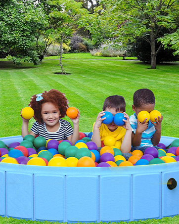 dog pool