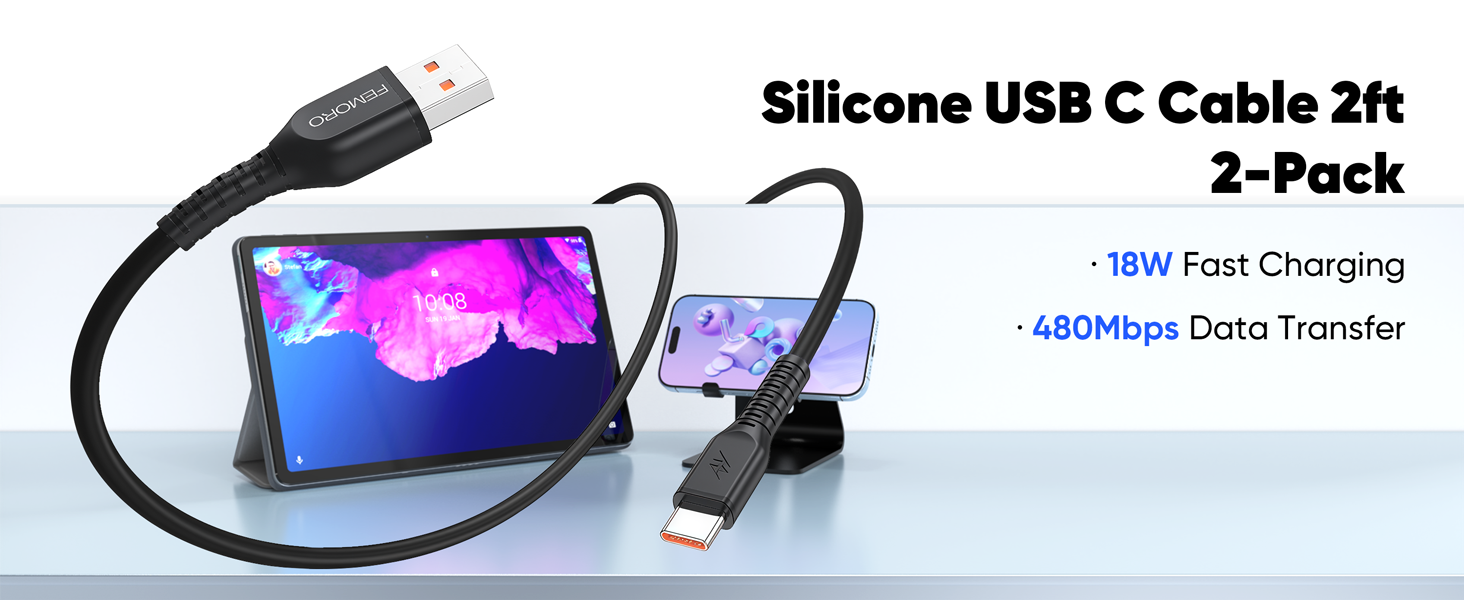 2ft usb c cable
