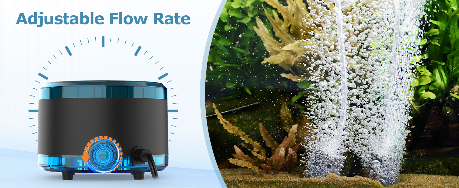 air pump aquarium