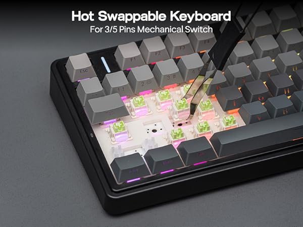Text reads 'Hot Swappable Keyboard For 3/5 Pins Mechanical Switch'. Close-up of mechanical keyboard with illuminated keys showing RGB lighting effects beneath grey keycaps.