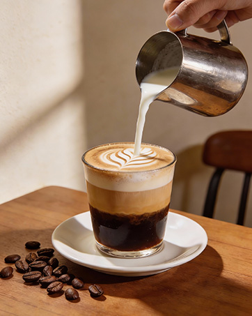 milk frother electric