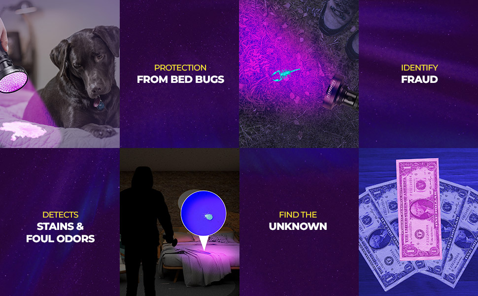 stain finder black light.