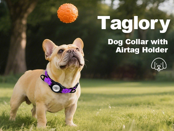 airtag dog collar