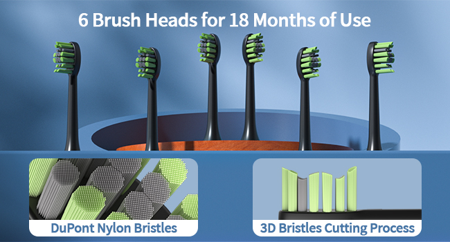 6 Brush Heads for 18 Months of Use