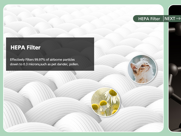 m01 filter