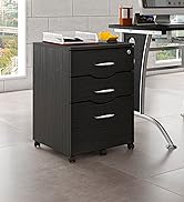 Techni Mobili Rolling Storage and File Cabinet, Espresso