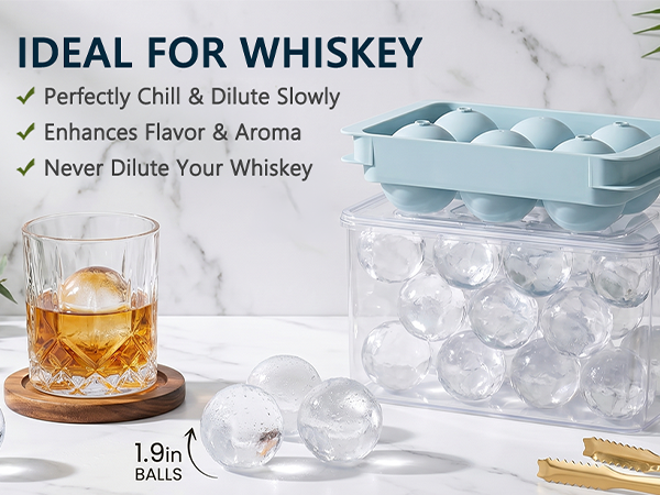 whiskey ice cubes mold
